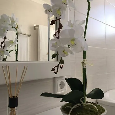 Апартаменты 2 Bedrooms With Sea View Furnished Garden And Wifi At 1 Km Away From The